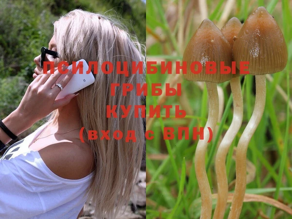 гашиш Балахна