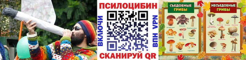 Псилоцибиновые грибы ЛСД  Чёрмоз 
